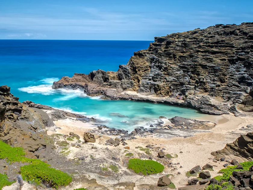 Snorkeling at Electric Beach Hawaii Travel Guide