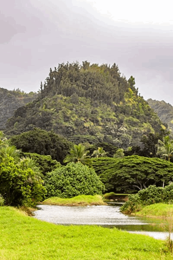 Waimea Valley