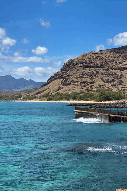 Electric Beach Snorkeling Spot