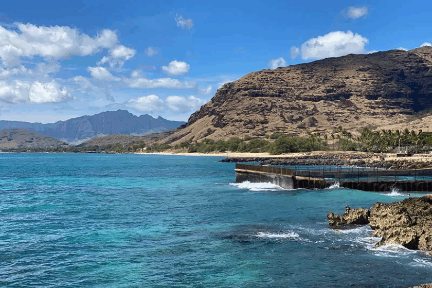 Electric Beach Snorkeling Spot