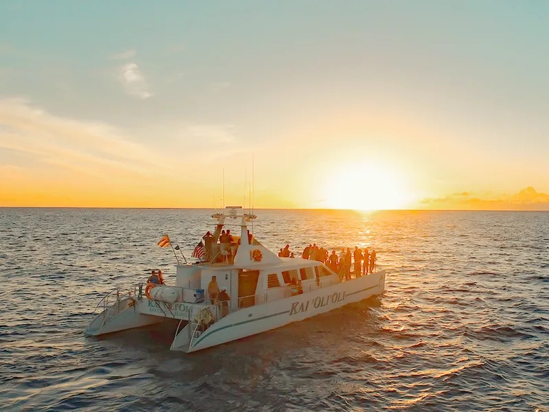 Ocean Joy Cruises