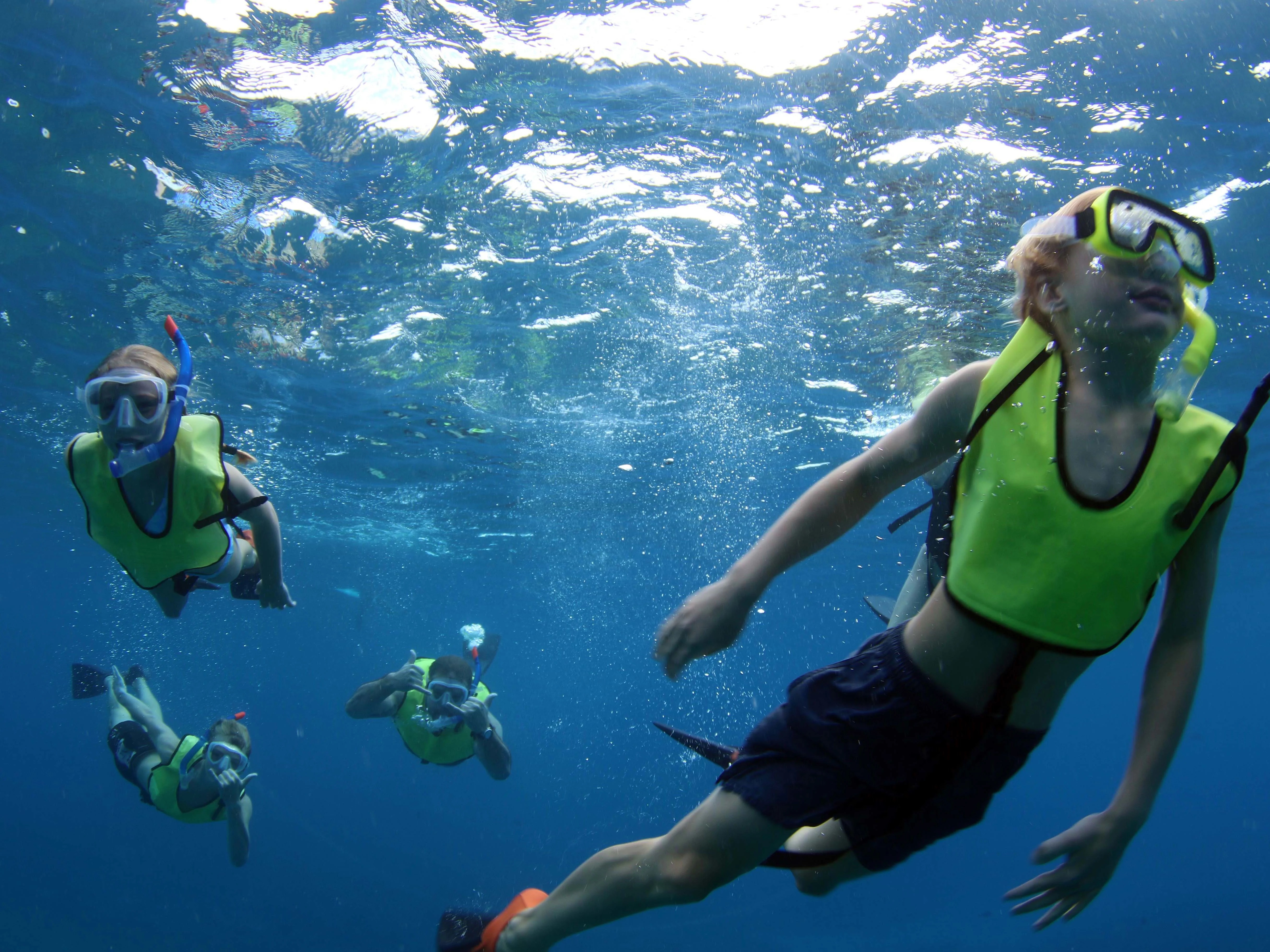 Ocean Joy Cruises
