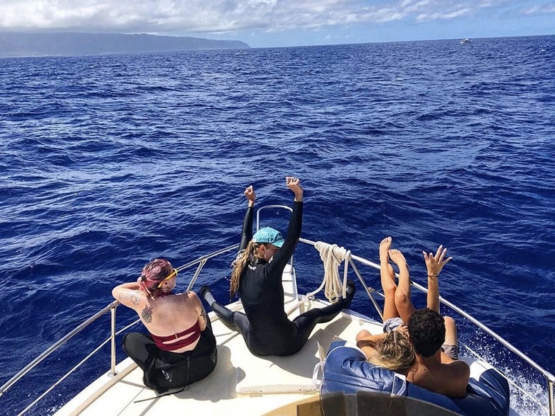 Go Adventure Hawaii – North Shore Sunset & Seasonal Whale Watch Cruise