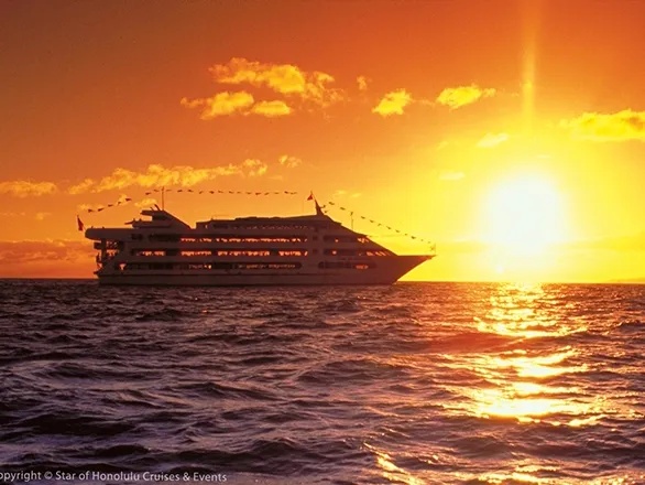 Paradise Cruise