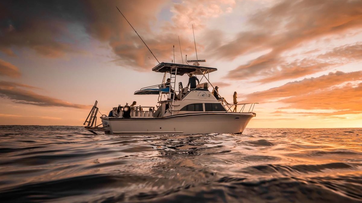 Top Waikiki Sunset Cruises for Adults Looking to Unwind