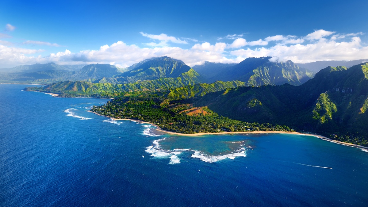 Understanding Hawaii’s Ocean Ecosystem